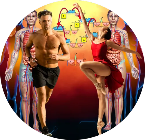 Biológiai erőforrások és élettani folyamatok – Lélekélettan Egy futó férfi és egy táncoló nő alakja előtt az emberi test anatómiai ábrája és biológiai folyamatokat szemléltető grafikonok láthatók a Lélekélettan bio-pszicho-szociális modelljéhez.