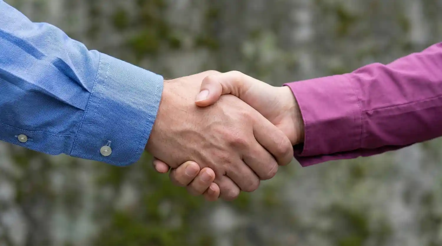 Lélekélettan mentor program: mély önismeret és belső gyógyulás elkötelezett szövetségben, felelősségvállalás és szakmai keretek mentén megvalósuló együttműködés.