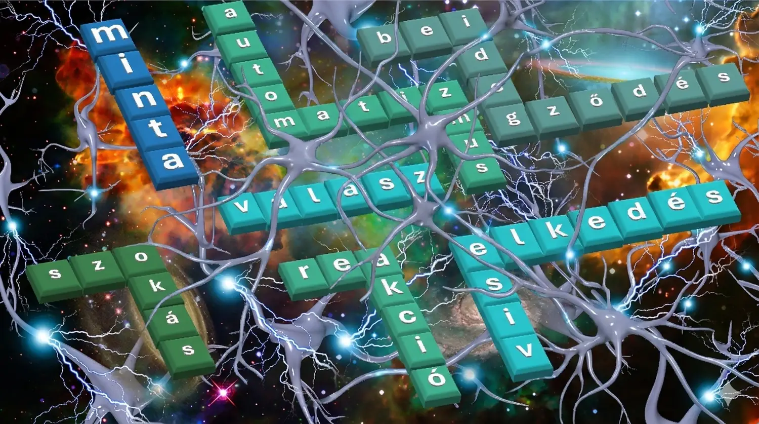 A változás biológiája: Tudattalan minták áthuzalozása Lélekélettan Mentor Program egyik tanítása: Idegsejt hálózat által átfont 3D betűkockák, melyek a minta, szokás, automatizmus, beidegződés, válasz, reakció és elviselés szavakat formázzák – Lélekélettan Mentor Program vizualizáció.