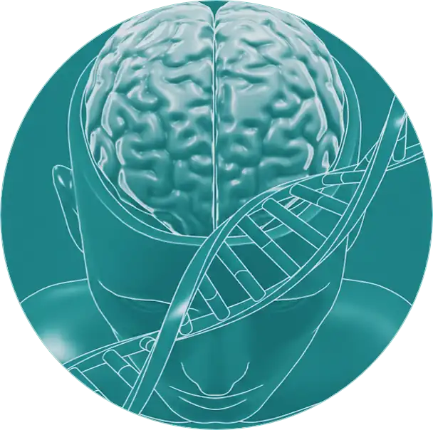 Biológiai Pillér – A tudomány emberi nyelven Lélekélettan Kulcsok Mentorprogram BPSS modell biológiai pillére: stilizált emberi agy és DNS-spirál ábrázolása, amely a tudományos alapokon nyugvó önismeretet és az idegrendszeri összefüggéseket szimbolizálja.