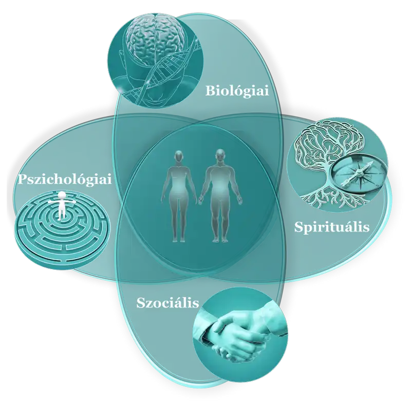 A Lélekélettan BPSS modellje: Rendszerszemléletű emberkép A Kulcsok Mentor Program bio-pszicho-szociális-spirituális (BPSS) modellje; infografika az emberi működés tudományos és holisztikus összefüggéseiről.