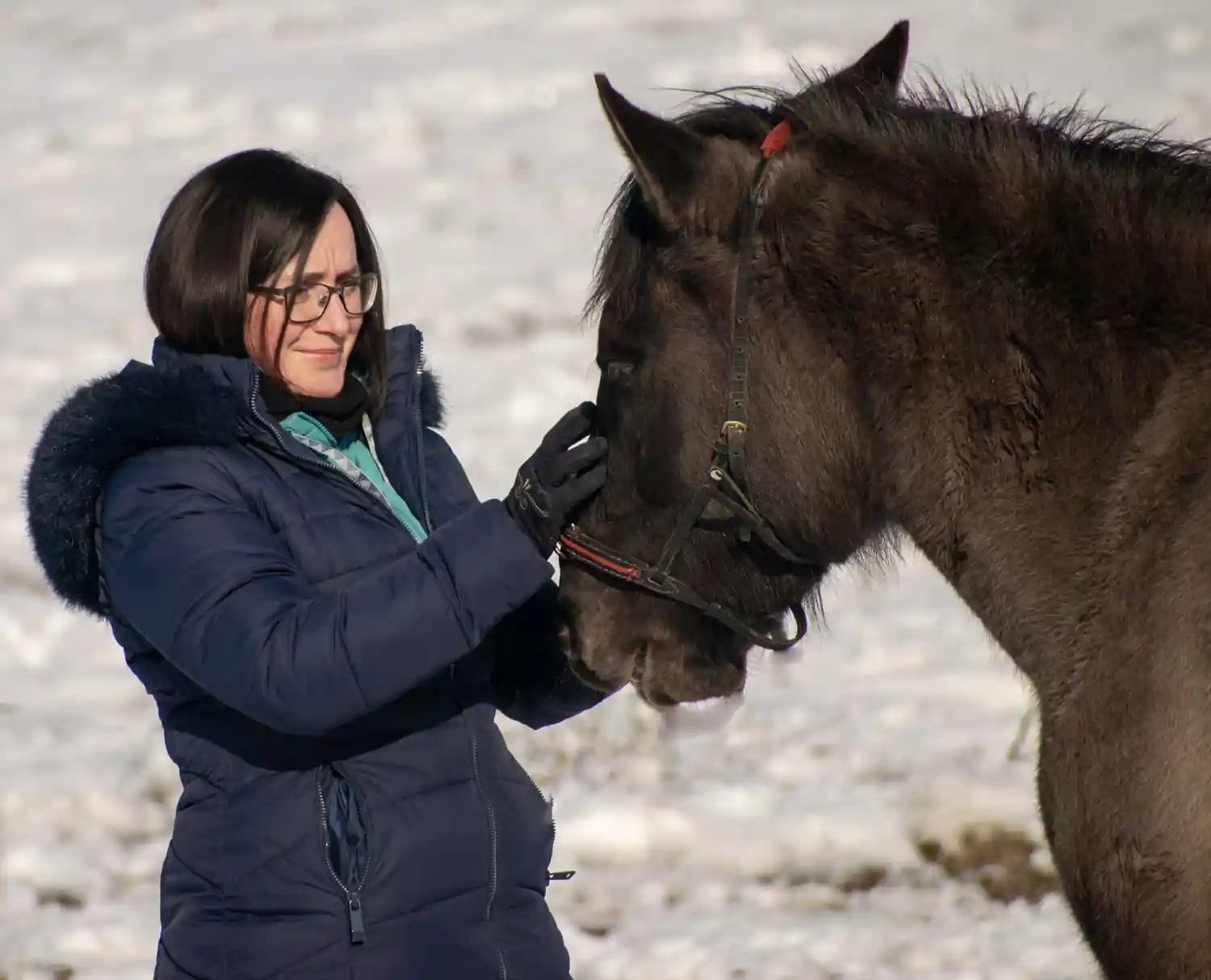 Pindrok Beáta, a Lélekélettan mentora, a havas tájon egy lóval lép finom, érintésen alapuló kapcsolatba, demonstrálva a „suttogó” figyelmet, a nyugodt jelenlétet és az erőltetésmentes vezetést.