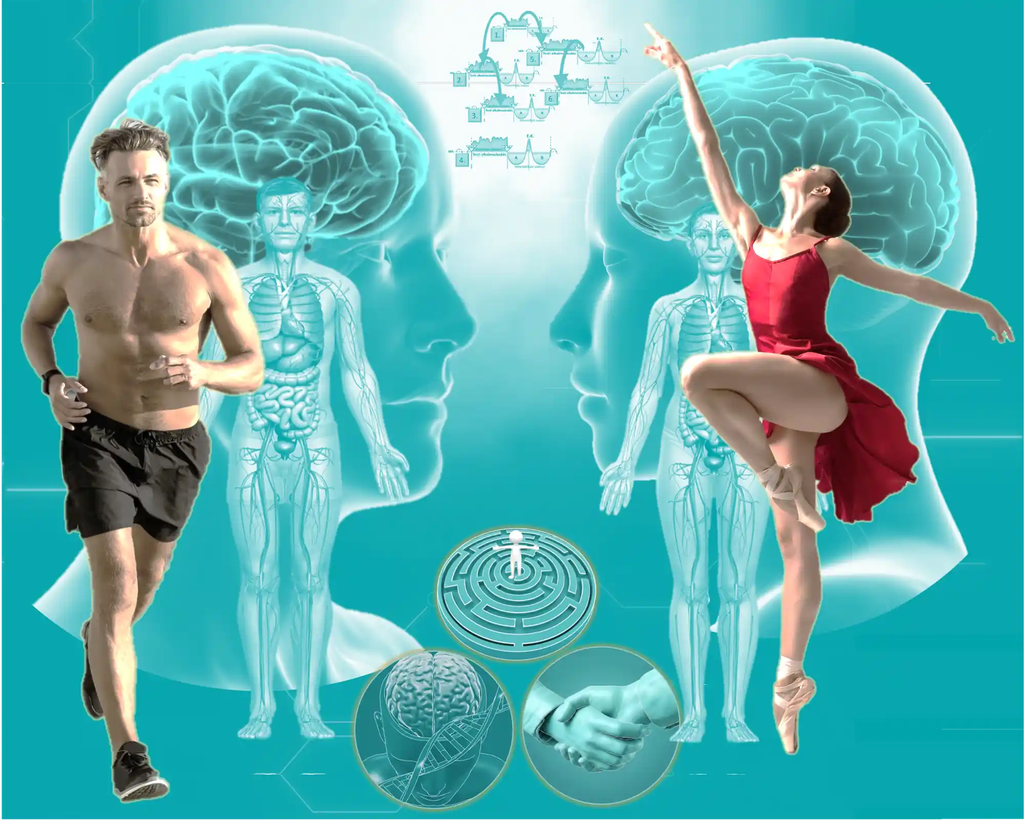 Az Újmedicina és Biológiai Válaszrendszer Mentorprogram hero képe; kompozíció egy futó férfival, egy táncoló nővel, valamint az emberi test biológiai rendszereit és a BPSS-modell pilléreit ábrázoló grafikákkal.